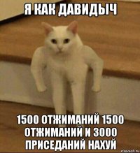 я как давидыч 1500 отжиманий 1500 отжиманий и 3000 приседаний нахуй