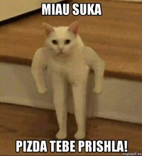 miau suka pizda tebe prishla!