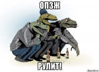 опзж рулит!