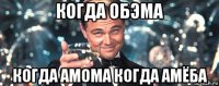 когда обэма когда амома когда амёба