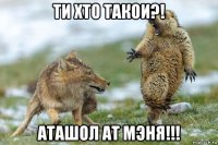 ти хто такои?! аташол ат мэня!!!