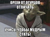 орехи от огурцов отличать учись, чтобы мудрым стать!