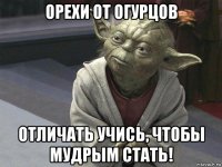 орехи от огурцов отличать учись, чтобы мудрым стать!