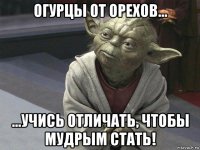 огурцы от орехов... ...учись отличать, чтобы мудрым стать!