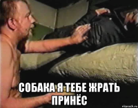  собака я тебе жрать принёс