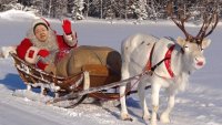 Все мемы Elbegdorj the santa getting pulled by a sled