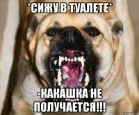 *сижу в туалете* -какашка не получается!!!