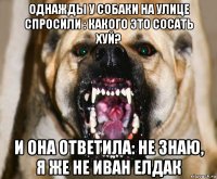 однажды у собаки на улице спросили : какого это сосать хуй? и она ответила: не знаю, я же не иван елдак