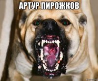 артур пирожков 