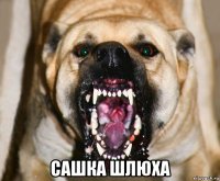  сашка шлюха