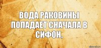 вода раковины попадает сначала в сифон,