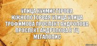 улица кухмистерова южнопоторвая улица улица трофимова проспект андропова
проспект андропова 8 тц мегаполис