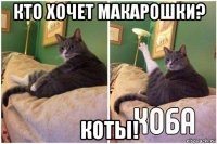 кто хочет макарошки? коты!