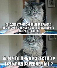 Сегодня утром совершена кража 3 вискасов 5сосисок 2котлеток и кто то насрал в тапки Вам что либо известно ? Есть подозреваемые ?