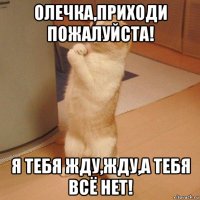 олечка,приходи пожалуйста! я тебя жду,жду,а тебя всё нет!