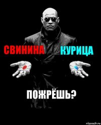 Свинина Курица Пожрёшь?