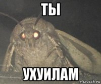 ты ухуилам