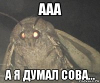 ааа а я думал сова...