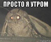 просто я утром 