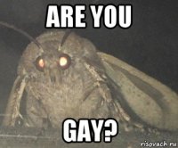 are you gay?