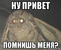 ну привет помнишь меня?