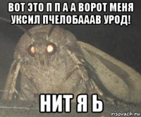 вот это п п а а ворот меня уксил пчелобааав урод! нит я ь