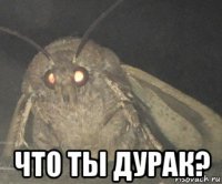  что ты дурак?