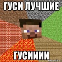 гуси лучшие гусииии