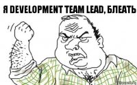 Я Development Team Lead, БЛЕАТЬ