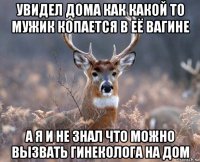 увидел дома как какой то мужик копается в её вагине а я и не знал что можно вызвать гинеколога на дом