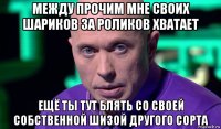 между прочим мне своих шариков за роликов хватает ещё ты тут блять со своей собственной шизой другого сорта