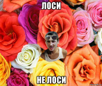 лоси не лоси