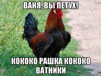 ваня, вы петух! кококо рашка кококо ватники