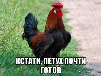  кстати, петух почти готов