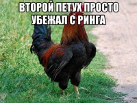 второй петух просто убежал с ринга 