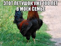 этот петушок уже 100 лет в моей семье 