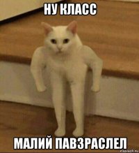 ну класс малий павзраслел