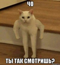 чо ты так смотришь?