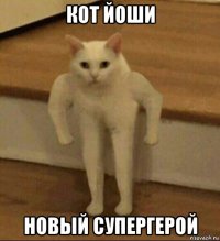 кот йоши новый супергерой