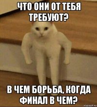 что они от тебя требуют? в чем борьба, когда финал в чем?