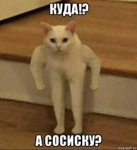 куда!? а сосиску?