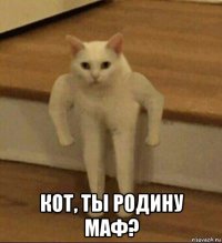  кот, ты родину маф?