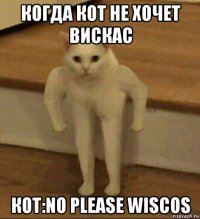 когда кот не хочет вискас кот:no please wiscos