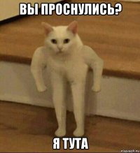 вы проснулись? я тута