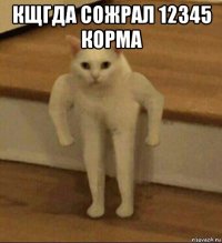 кщгда сожрал 12345 корма 