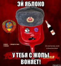 эй яблоко у тебя с жопы воняет!