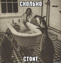 сколько стоит