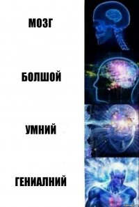 мозг болшой умний гениалний