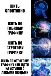 Жить спонтанно Жить по гибкому графику Жить по строгому графику Жить по строгому графику и не идти на уступки с левыми людьми