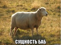  сущность баб